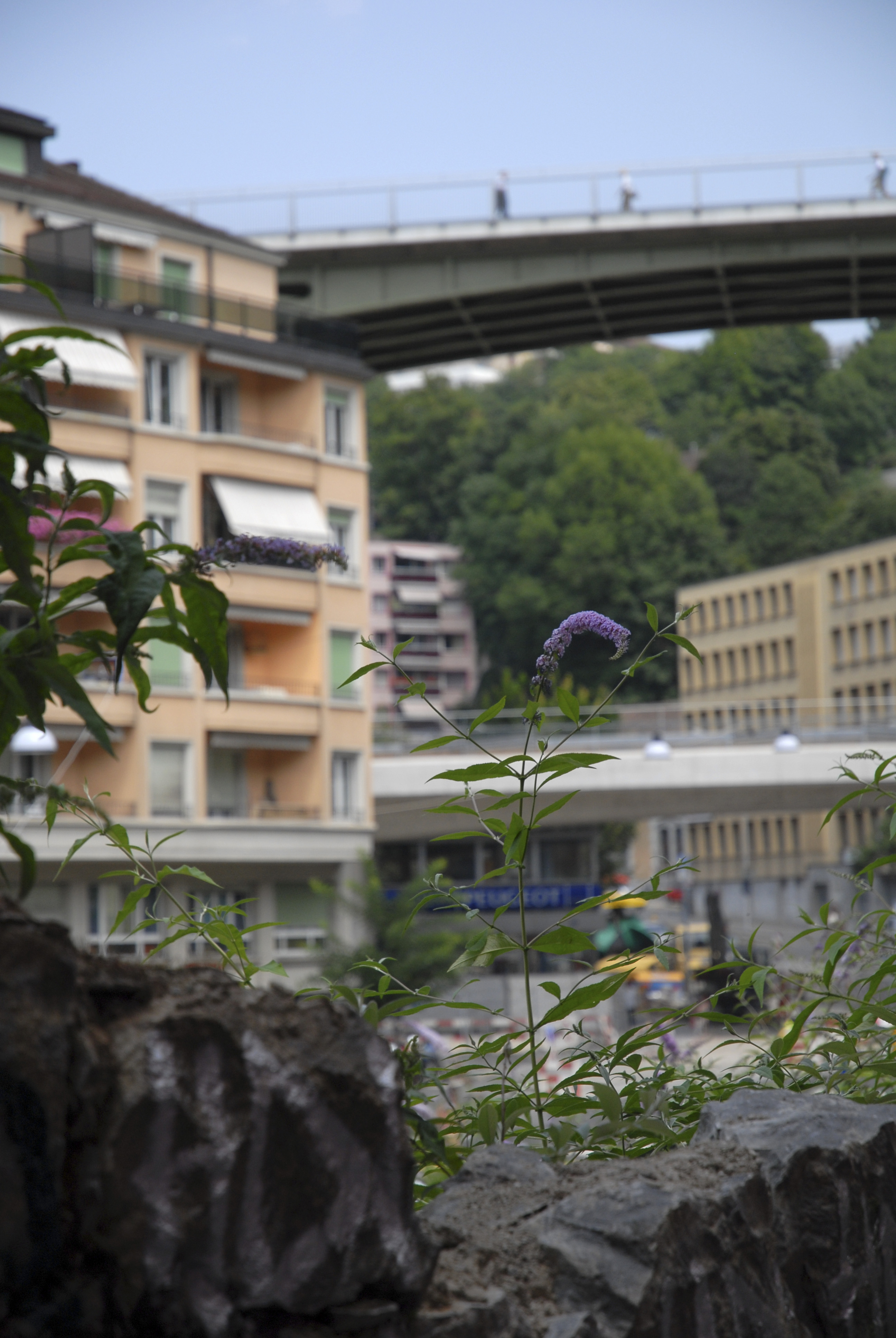 2-Bessières (Photo L. Baud)