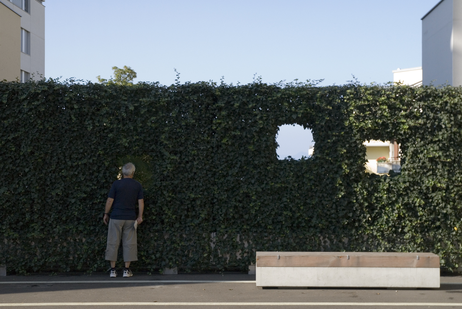 4.3 Intertwined landscapes ©L.Baud