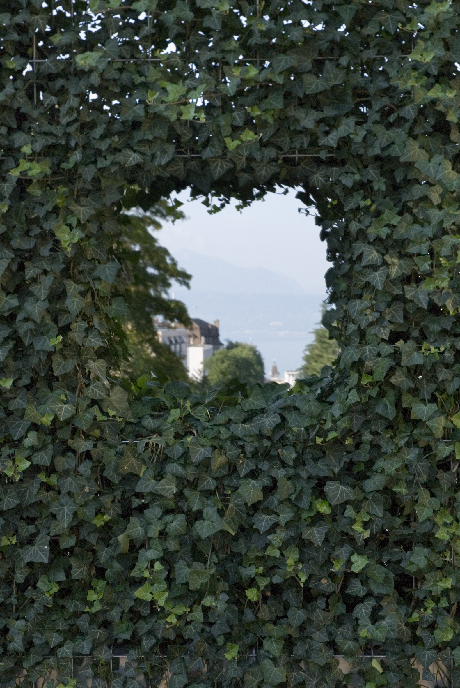 4.3 Intertwined landscapes ©L.Baud