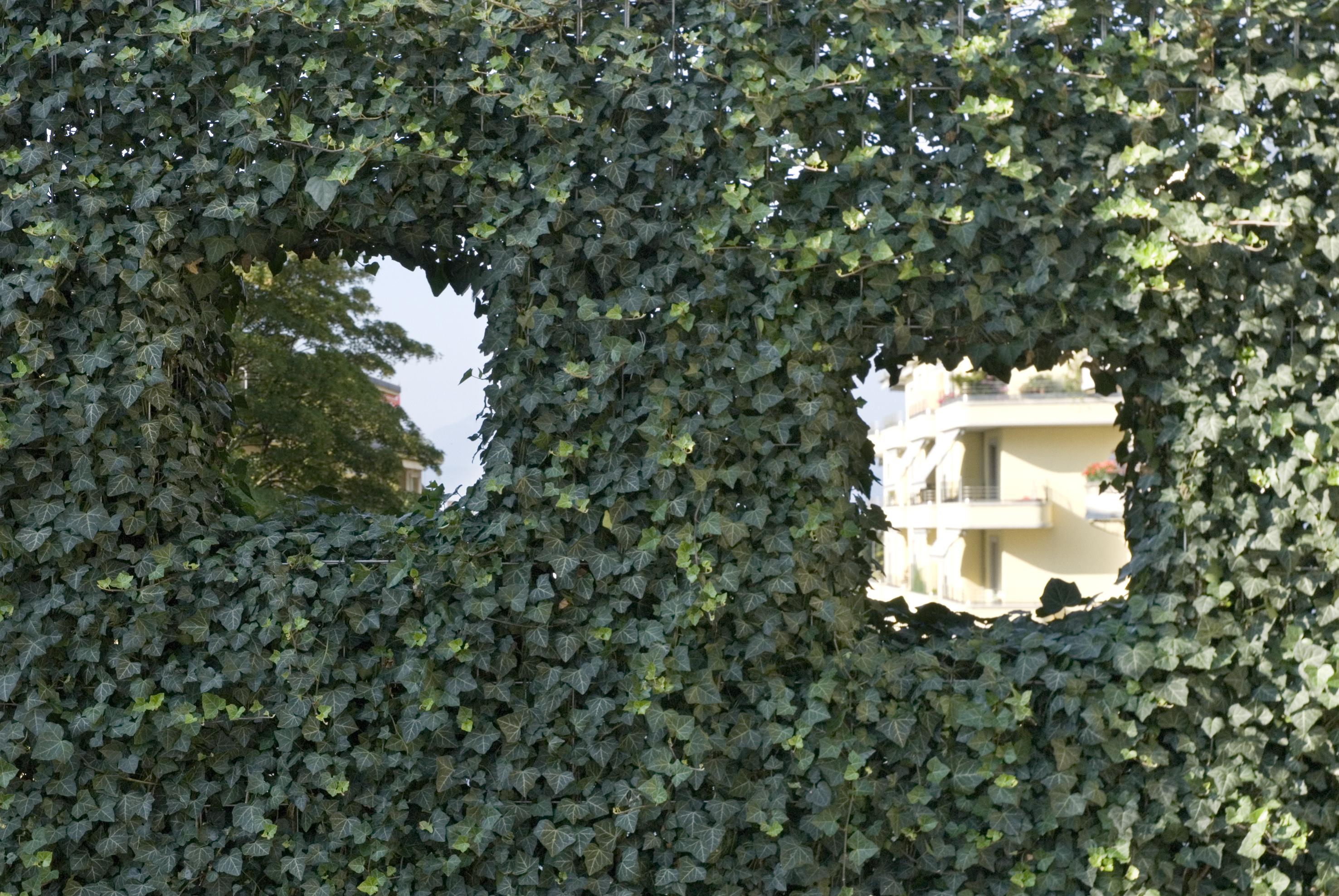4.3 Intertwined landscapes ©L.Baud