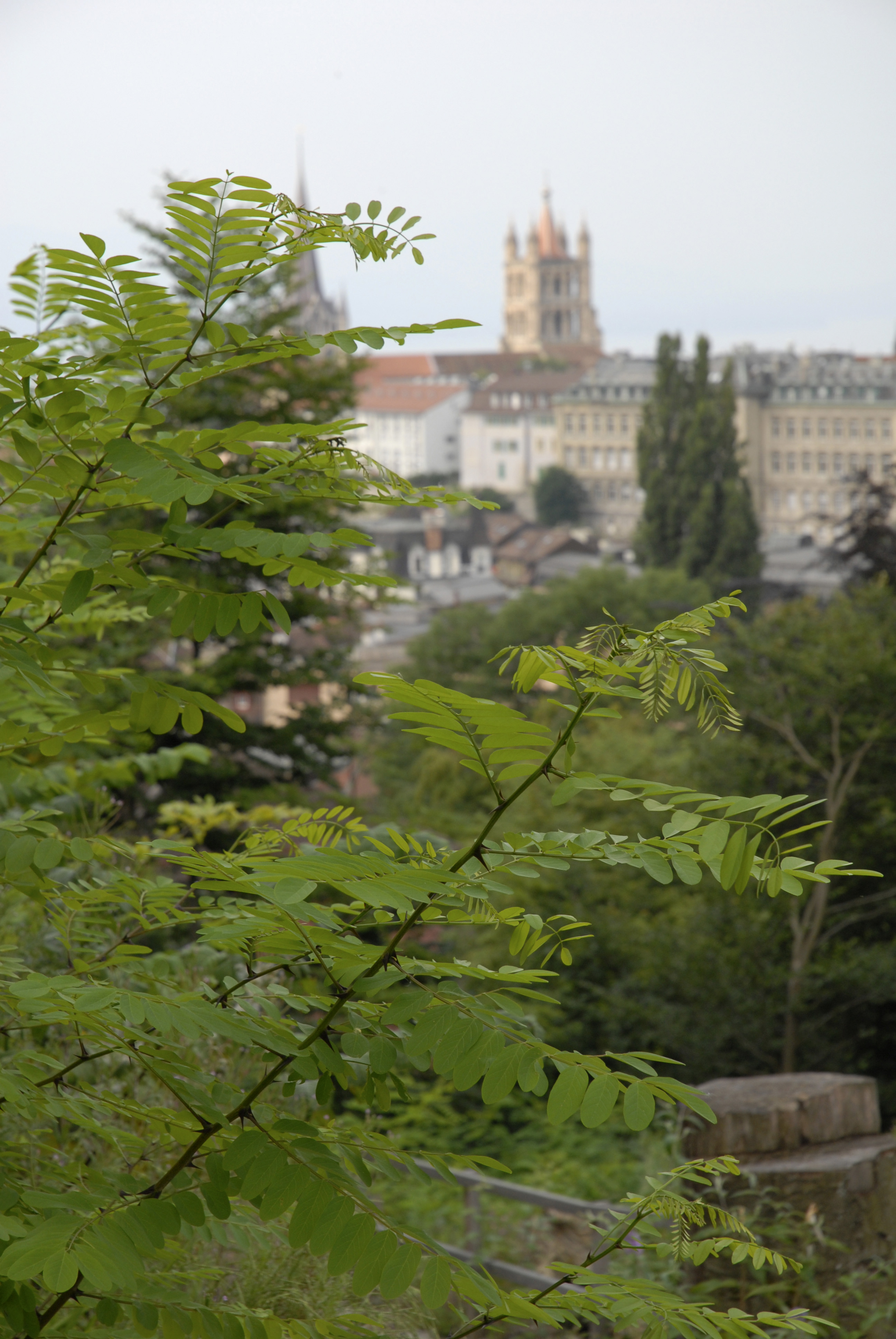 4-Falaise (Photo L. Baud)