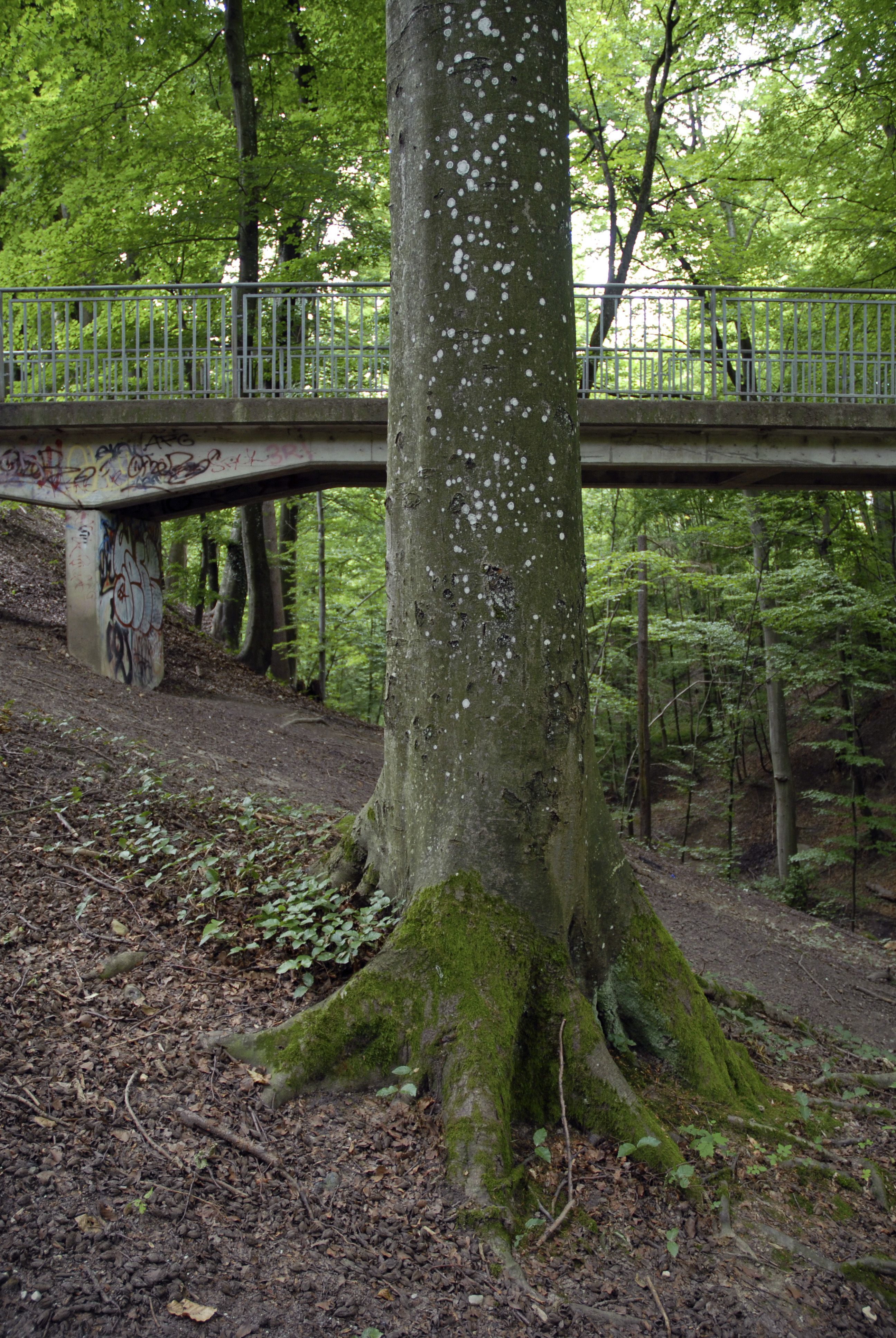 4-Valmont (Photo L. Baud)
